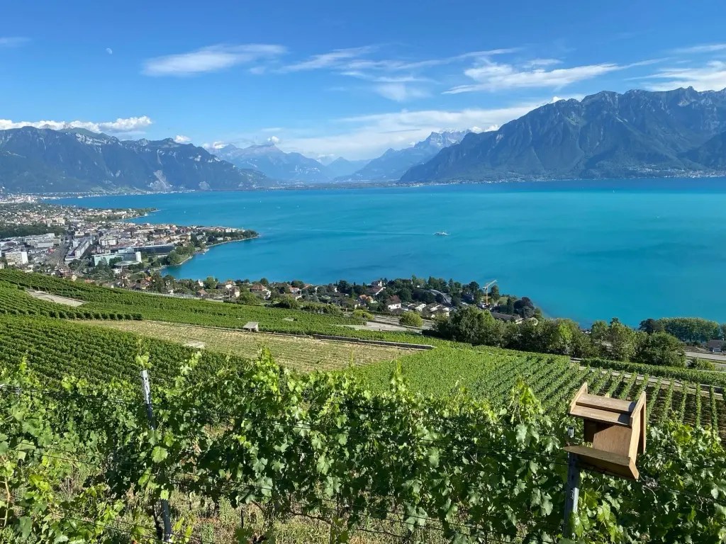 école de navigation genève
